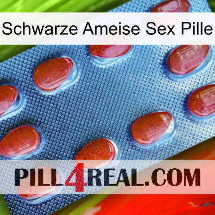 Black Ant Sex Pill 06